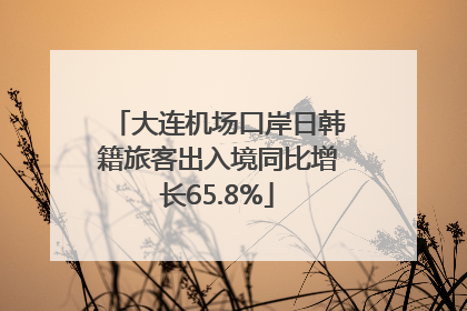 大连机场口岸日韩籍旅客出入境同比增长65.8%