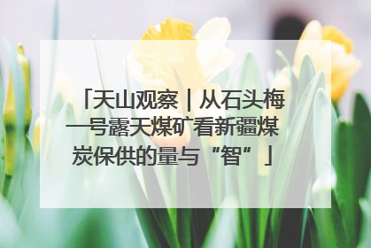 天山观察｜从石头梅一号露天煤矿看新疆煤炭保供的量与“智”