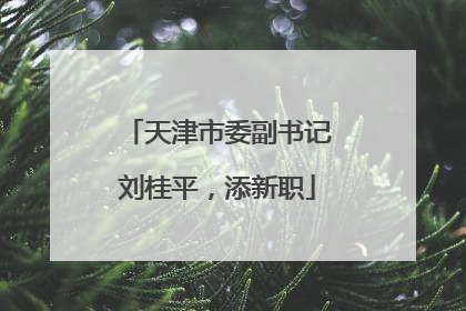 天津市委副书记刘桂平，添新职