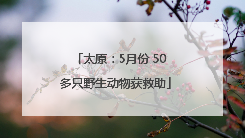太原：5月份 50多只野生动物获救助