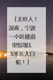 太吓人！深夜，宁波一小区楼道里惊现1.5米长大白蛇！