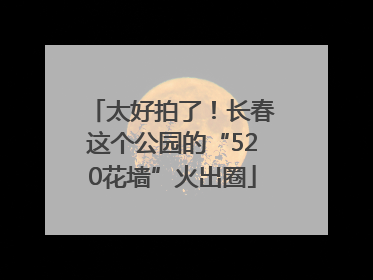 太好拍了！长春这个公园的“520花墙”火出圈