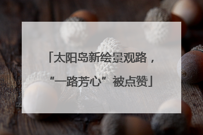 太阳岛新绘景观路，“一路芳心”被点赞