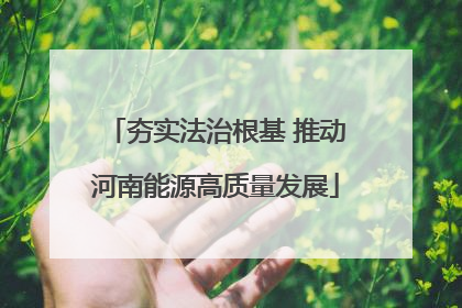 夯实法治根基 推动河南能源高质量发展