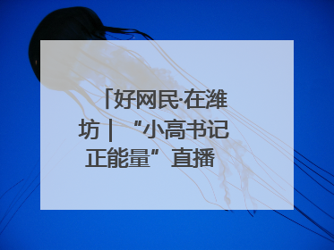 好网民·在潍坊｜“小高书记正能量”直播 带动群众致富