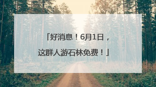 好消息！6月1日，这群人游石林免费！