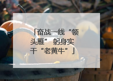 奋战一线“领头雁” 躬身实干“老黄牛”
