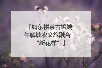 如东栟茶古镇端午解锁农文旅融合“新花样”