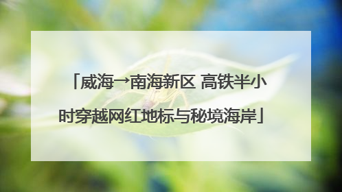 威海→南海新区 高铁半小时穿越网红地标与秘境海岸