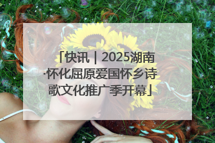 快讯｜2025湖南·怀化屈原爱国怀乡诗歌文化推广季开幕
