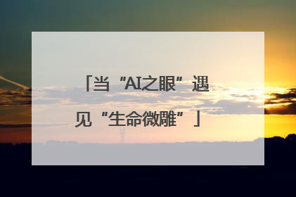当“AI之眼”遇见“生命微雕”