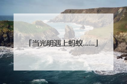 当光明遇上蚂蚁……