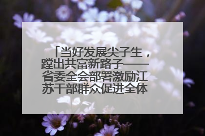 当好发展尖子生，蹚出共富新路子——省委全会部署激励江苏干部群众促进全体人民共同富裕