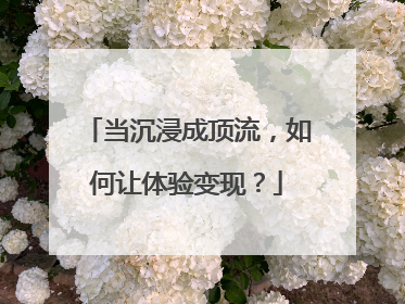 当沉浸成顶流，如何让体验变现？