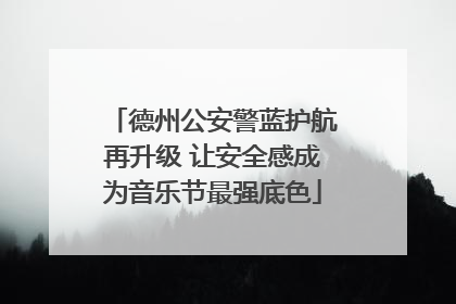 德州公安警蓝护航再升级 让安全感成为音乐节最强底色