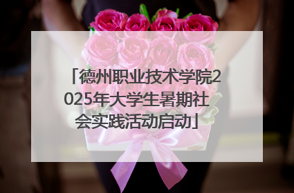 德州职业技术学院2025年大学生暑期社会实践活动启动