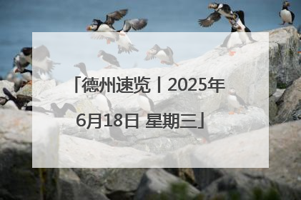 德州速览丨2025年6月18日 星期三