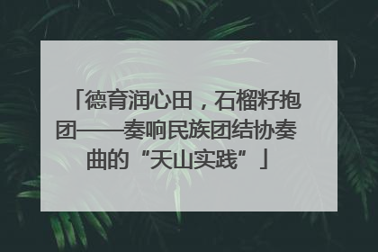 德育润心田，石榴籽抱团——奏响民族团结协奏曲的“天山实践”