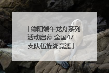 德阳端午龙舟系列活动启幕 全国47支队伍旌湖竞渡