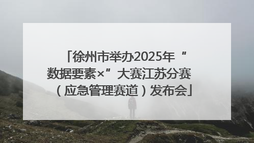 徐州市举办2025年“数据要素×”大赛江苏分赛（应急管理赛道）发布会
