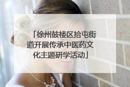 徐州鼓楼区拾屯街道开展传承中医药文化主题研学活动