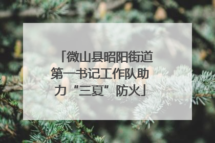 微山县昭阳街道第一书记工作队助力“三夏”防火