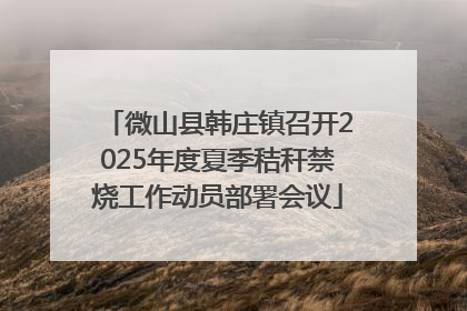 微山县韩庄镇召开2025年度夏季秸秆禁烧工作动员部署会议