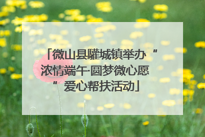 微山县驩城镇举办“浓情端午·圆梦微心愿”爱心帮扶活动