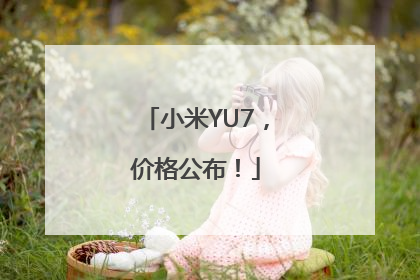 小米YU7，价格公布！