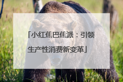 小红蕉巴蕉派：引领生产性消费新变革