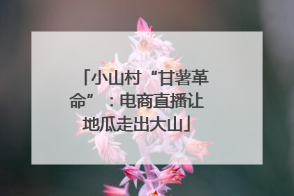 小山村“甘薯革命”：电商直播让地瓜走出大山