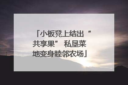 小板凳上结出“共享果” 私垦菜地变身睦邻农场