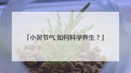小暑节气 如何科学养生？