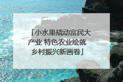 小水果撬动富民大产业 特色农业绘就乡村振兴新画卷