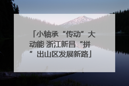 小轴承“传动”大动能 浙江新昌“拼”出山区发展新路
