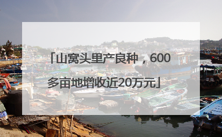 山窝头里产良种，600多亩地增收近20万元