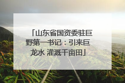 山东省国资委驻巨野第一书记：引来巨龙水 灌溉千亩田