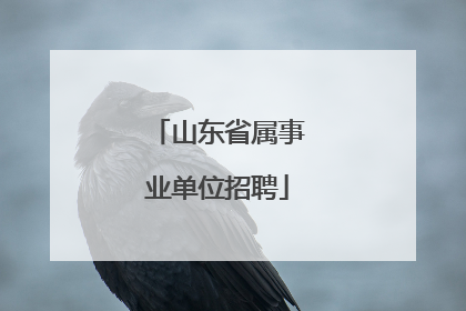 山东省属事业单位招聘
