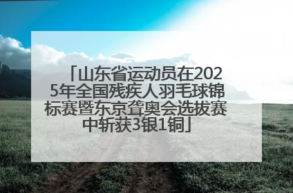 山东省运动员在2025年全国残疾人羽毛球锦标赛暨东京聋奥会选拔赛中斩获3银1铜