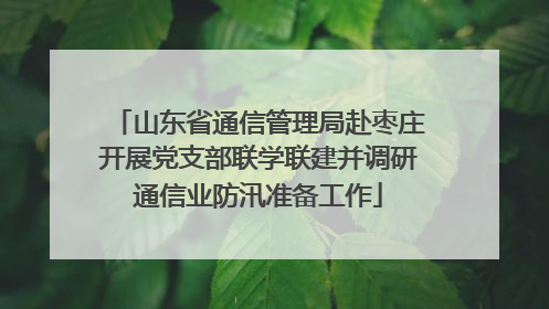 山东省通信管理局赴枣庄开展党支部联学联建并调研通信业防汛准备工作