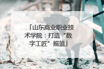 山东商业职业技术学院：打造“数字工匠”摇篮