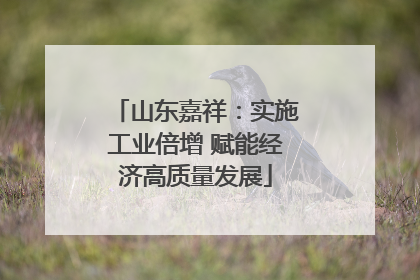 山东嘉祥：实施工业倍增 赋能经济高质量发展