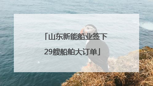 山东新能船业签下29艘船舶大订单