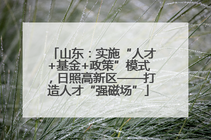 山东：实施“人才+基金+政策”模式，日照高新区——打造人才“强磁场”
