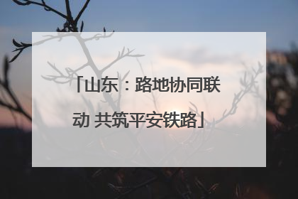 山东：路地协同联动 共筑平安铁路