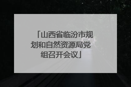 山西省临汾市规划和自然资源局党组召开会议