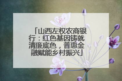 山西左权农商银行：红色基因铸就清廉底色，普惠金融赋能乡村振兴