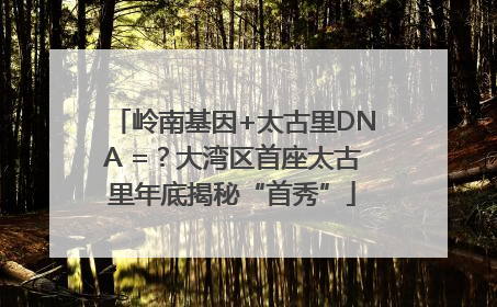 岭南基因+太古里DNA =？大湾区首座太古里年底揭秘“首秀”