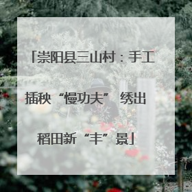 崇阳县三山村：手工插秧“慢功夫” 绣出稻田新“丰”景