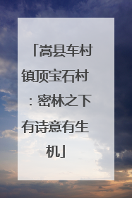 嵩县车村镇顶宝石村：密林之下有诗意有生机